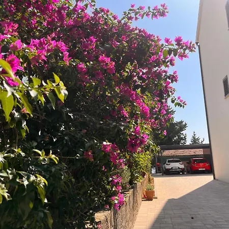 La Barquera ברודאריצה