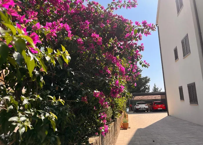 La Barquera ברודאריצה